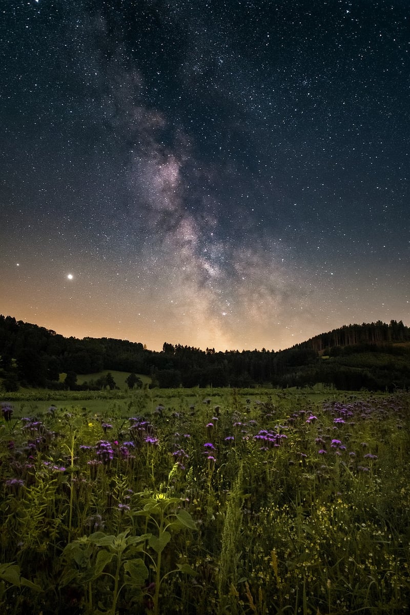 Galactic Nebulae